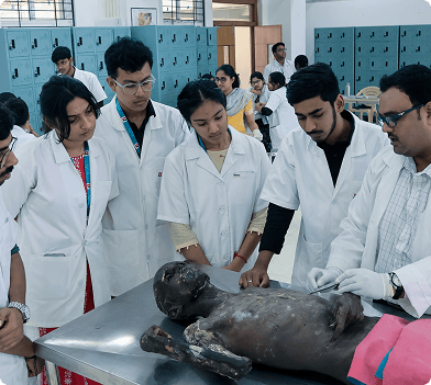 School of Medical Science