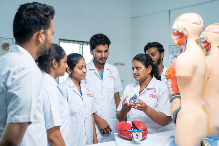 School of Nursing