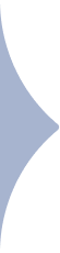 Scholarship Guidelines Background