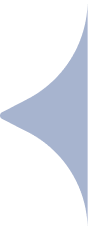 Scholarship Guidelines Background